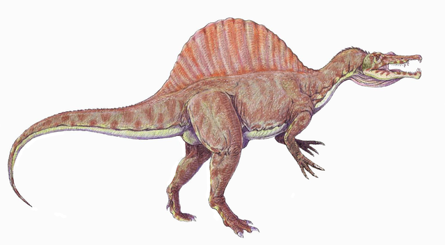 File:Spinosaurus1DBa.png