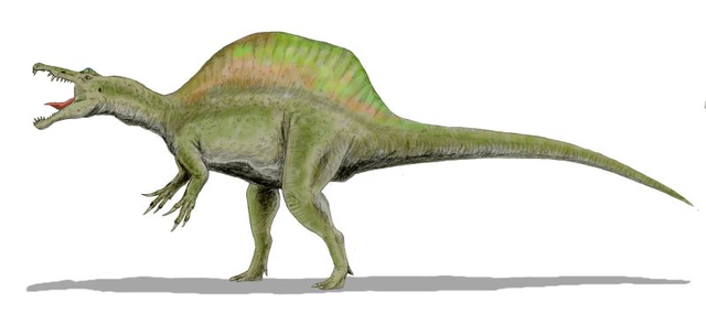 File:Spinosaurus BW2.png