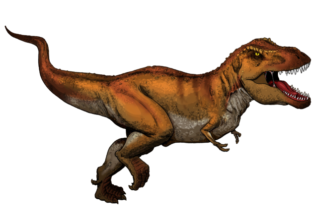 File:Tyrannosaurus Rex colored.png