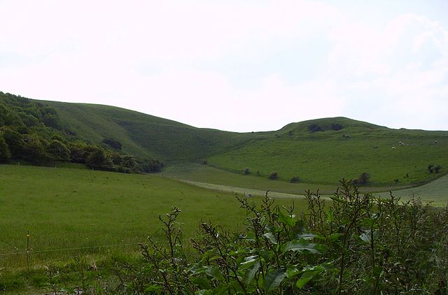 File:White Horse Hill & Dragon Hill c.jpg