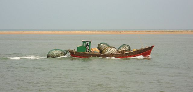 File:Polystyrene salvaged from the sea - 02.jpg