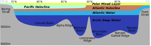 File:BrnBld BeringToFram.svg