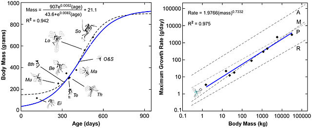 File:Archaeopteryx growth curve.jpg