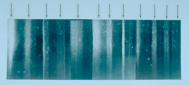 File:GISP2 1855m ice core layers.png