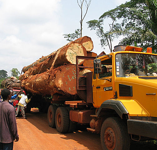 File:Logging truck and bush taxi accident.jpg