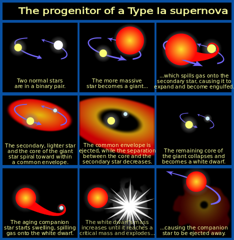 File:Progenitor IA supernova.svg