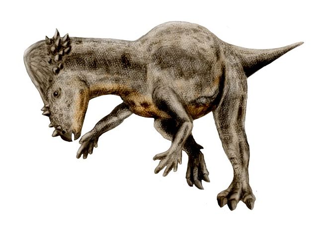 File:Pachycephalosaurus.jpg