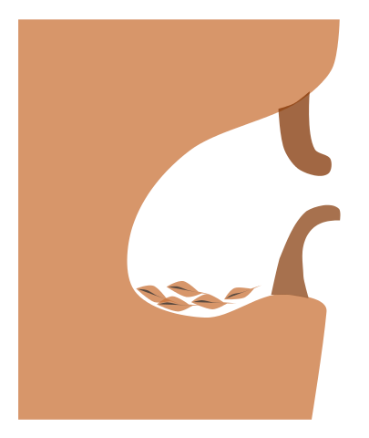 File:NuthatchNest.svg