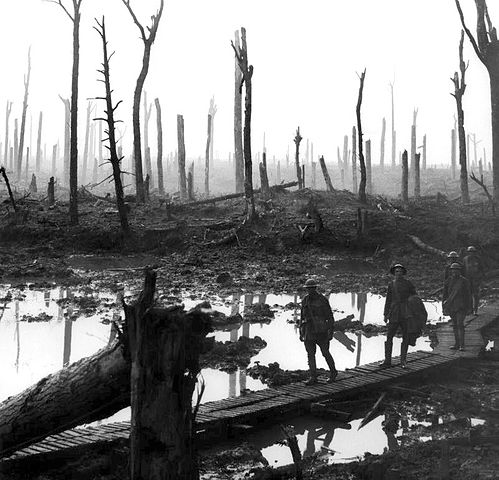 File:Chateau Wood Ypres 1917.jpg