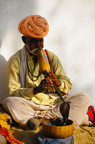 File:Snake charmer in Pushkar, Rajasthan.jpg