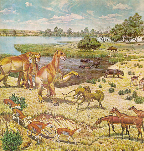 File:Miocene.jpg