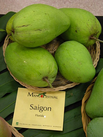 File:Mango Saigon Asit ftg.jpg