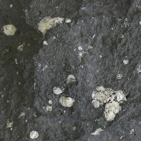 File:Amygdaloidal andesite.jpg