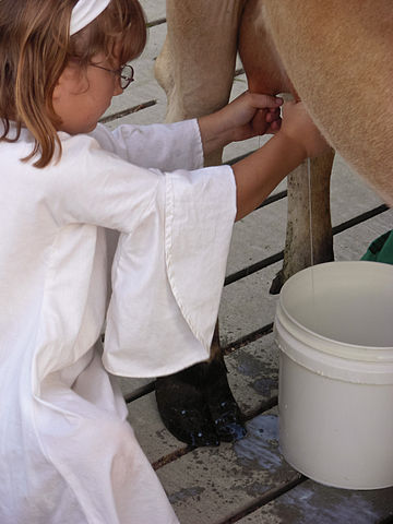 File:MilkMaid.JPG