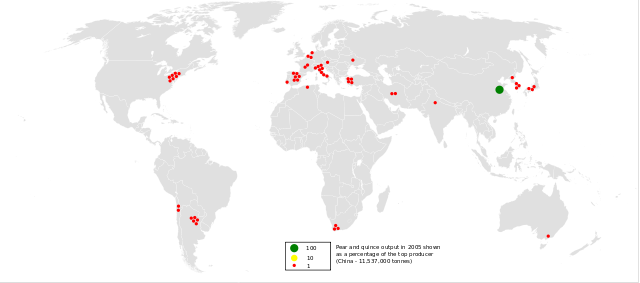 File:2005pear and quince.svg