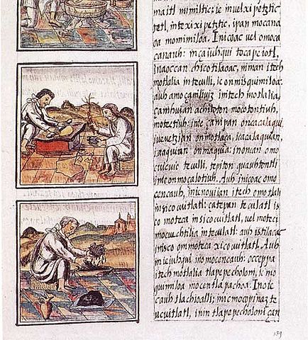 File:Codex florentino 51 9.jpg