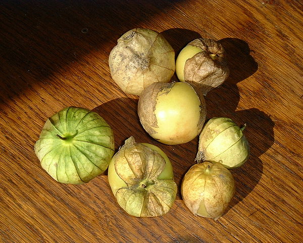 File:Tomatillo.jpg