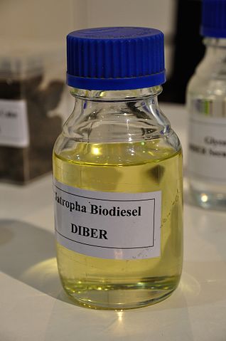 File:Jatropha Biodiesel - DRDO - Pride of India - Exhibition - 100th Indian Science Congress - Kolkata 2013-01-03 2579.JPG