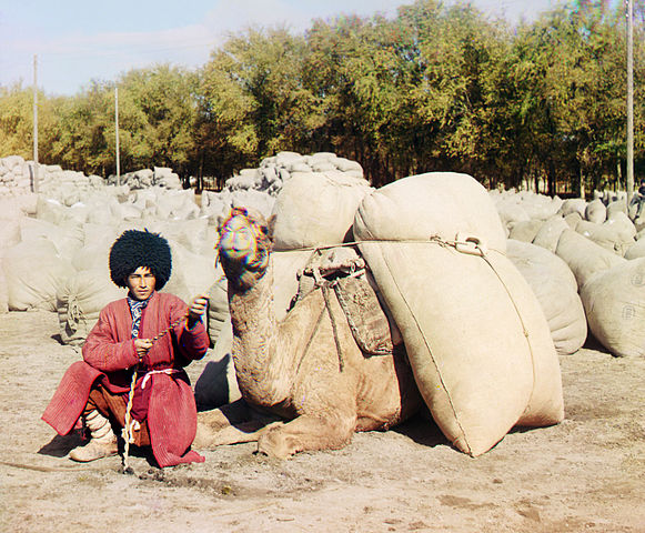 File:Turkmen man with camel.jpg