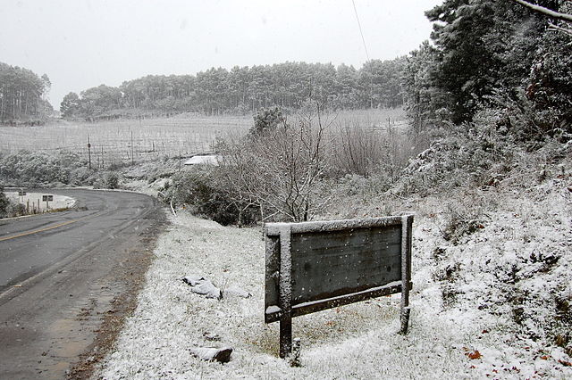 File:Neve na SC-438 em S&atilde;o Joaquim.JPG