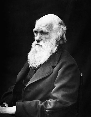 File:Charles Darwin 01.jpg