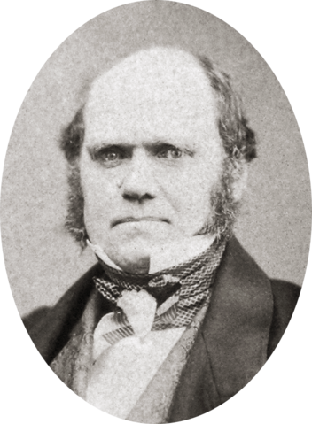 File:Charles Darwin by Maull and Polyblank, 1855-crop.png