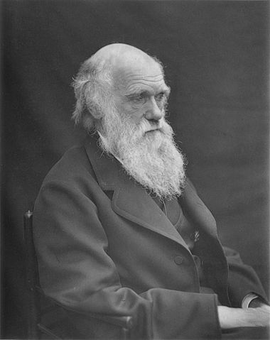 File:1878 Darwin photo by Leonard from Woodall 1884 - cropped grayed partially cleaned.jpg