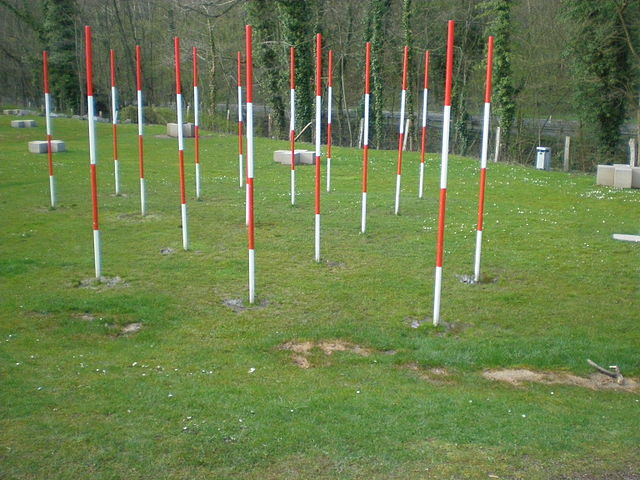 File:Neanderthal excavation site.JPG