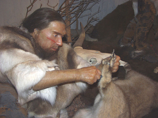 File:Neandertaler-im-Museum.jpg