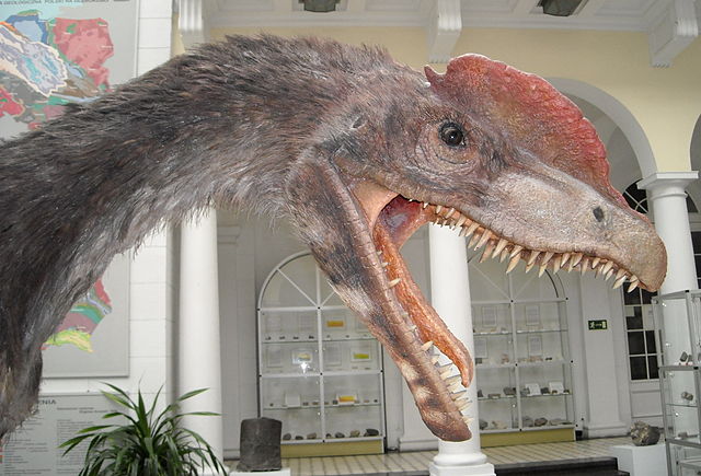 File:Dilophosaurus wetherilli 2.jpg