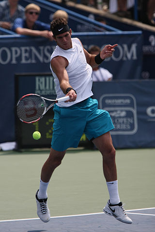 File:Del Potro Washington 07.jpg