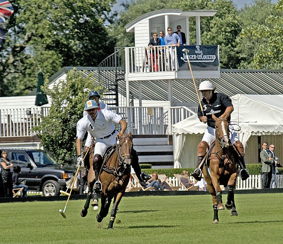 File:Adolfo Cambiaso and Alejandro Diaz Alberdi.jpg