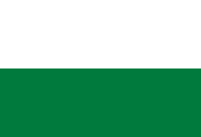 File:Flag of pando.svg