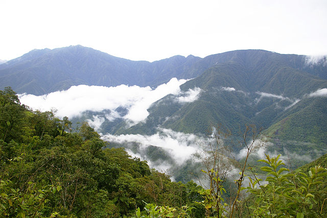 File:Los Yungas La Paz - Bolivia.jpg