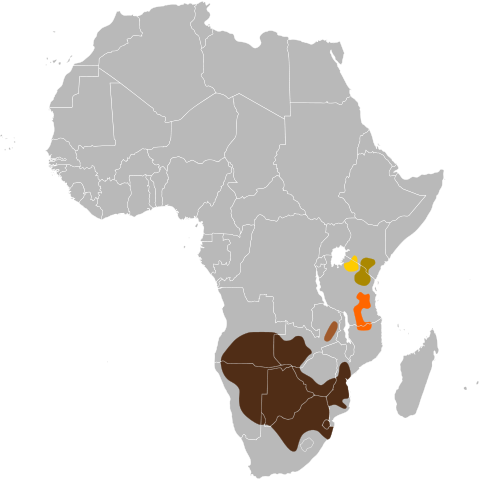 File:Connochaetes taurinus map.svg