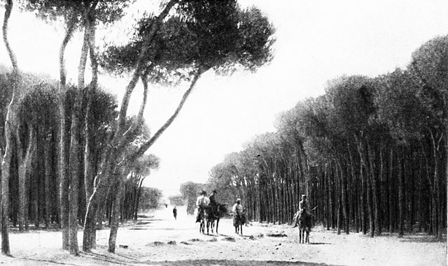 File:SL 1914 D052 among the pine groves of the cape of beirut.jpg