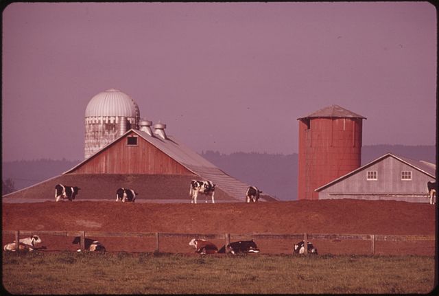 File:DAIRY FARM ON THE BANKS OF THE COLUMBIA RIVER IN CLARK COUNTY - NARA - 548065.jpg