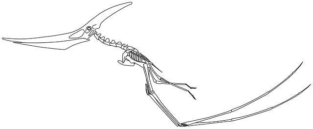 File:Quad launch.jpg