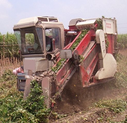 File:Peanut harvester.JPG