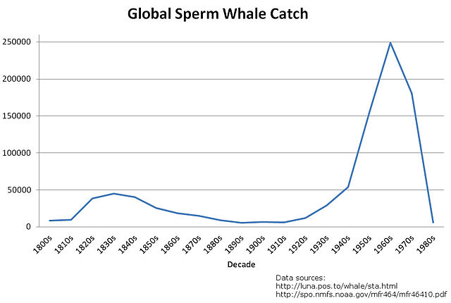 File:Sperm whale catches.jpg