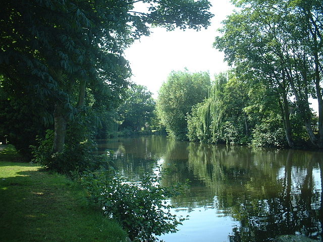File:The Wensum under trees.JPG