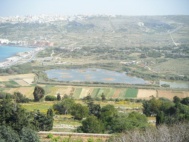 File:View of Nature Reserve from St. Agatha's Tower.JPG