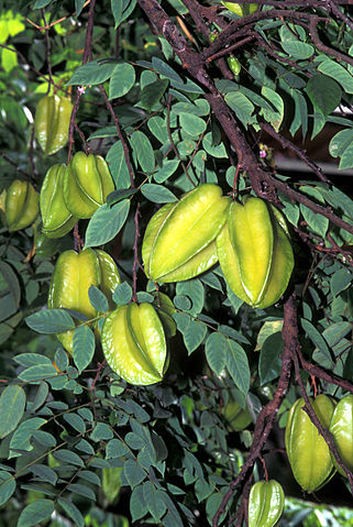 File:Carambolas.jpg