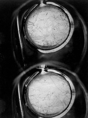 File:Liquid hydrogen bubblechamber.jpg