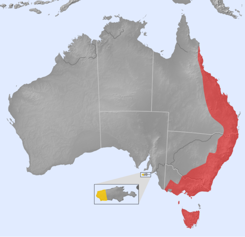 File:Distribution of the Platypus (Ornithorhynchus anatinus).png