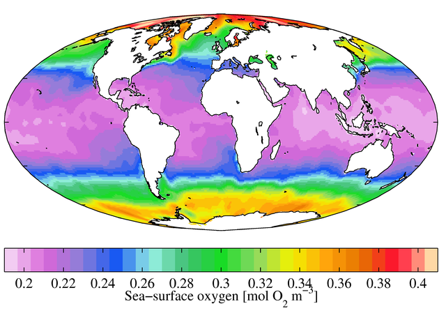 File:WOA09 sea-surf O2 AYool.png