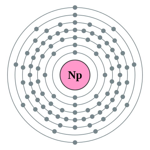 File:Electron shell 093 Neptunium - no label.svg