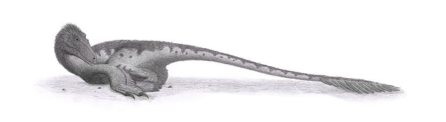 File:Deinonychus Steveoc.jpg