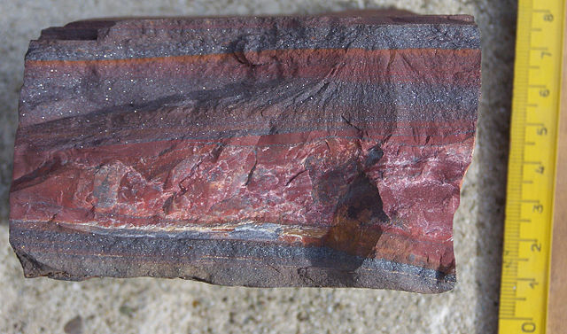 File:Banded Iron Formation Barberton.jpg