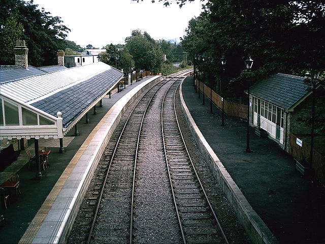 File:Stanhope Station Railway Lines.jpg